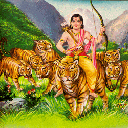 Manikanda With Tigers